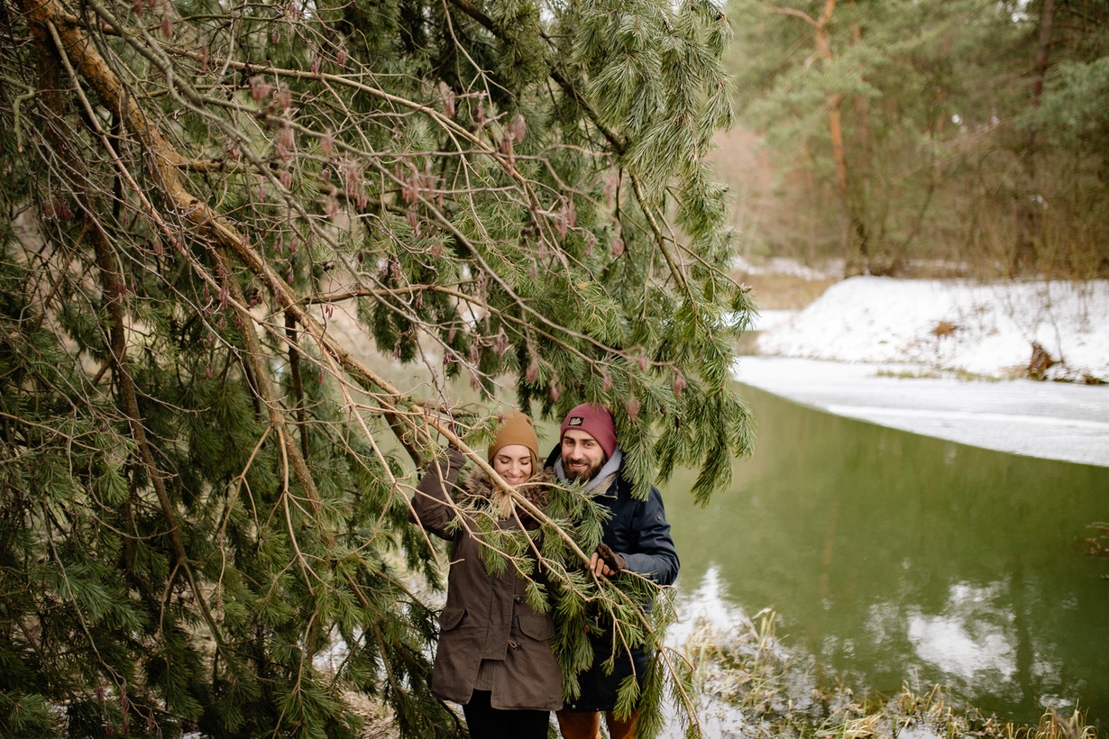 A Smiling Couple Holding the Branches of a Pine Tree