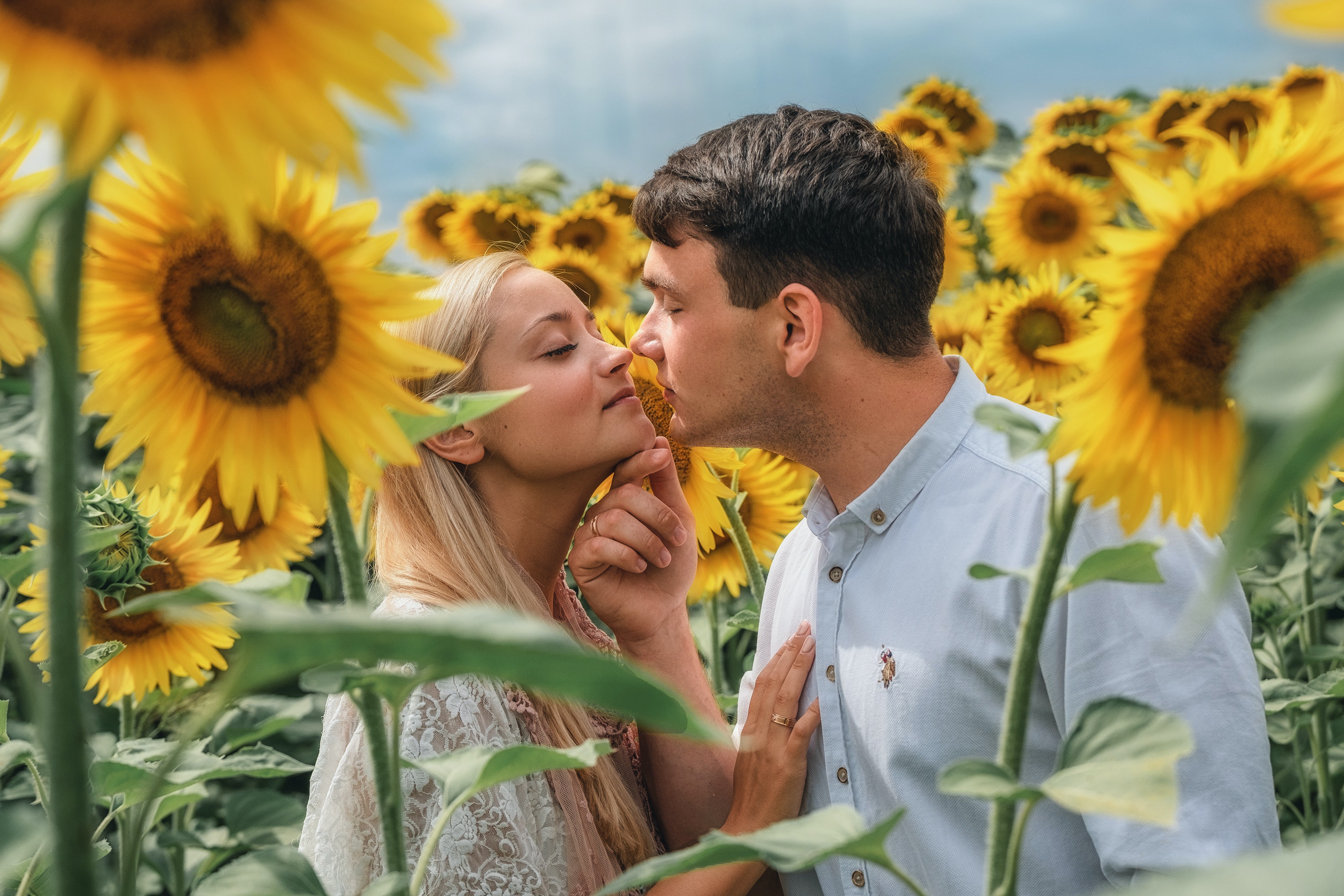 Loving couple embracing in a sunflowers field