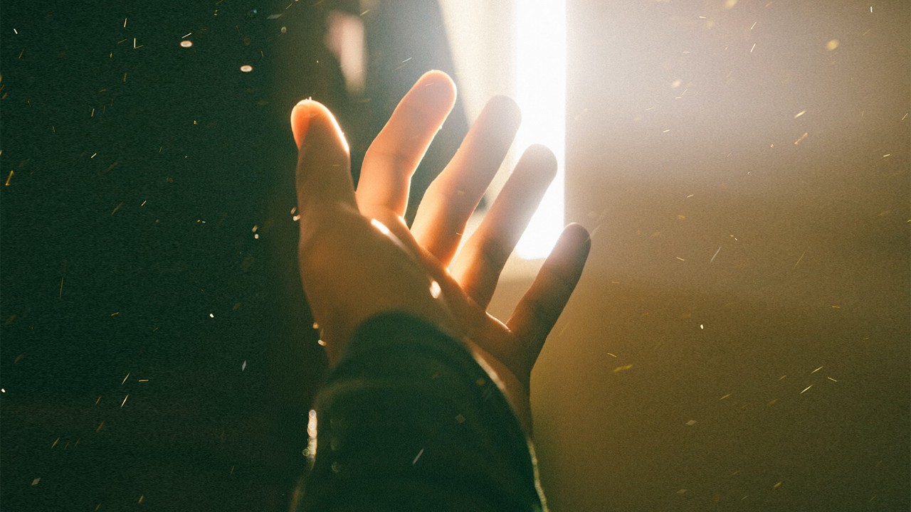 A hand reaching the sunshine