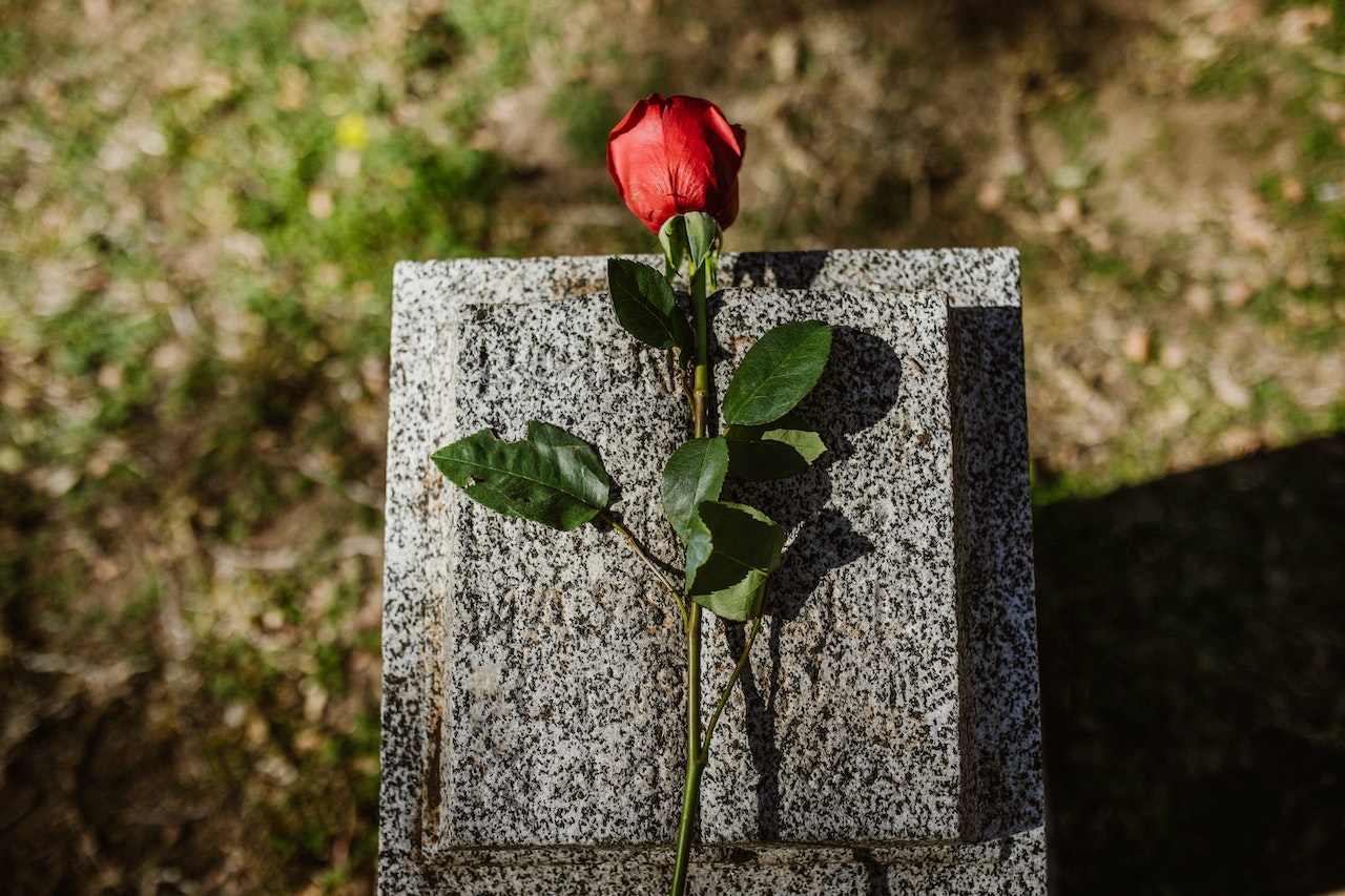 A Red Rose on a Stone