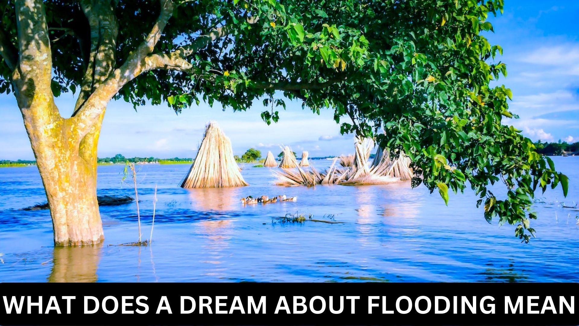 What Does A Dream About Flooding Mean? A Positive Symbol