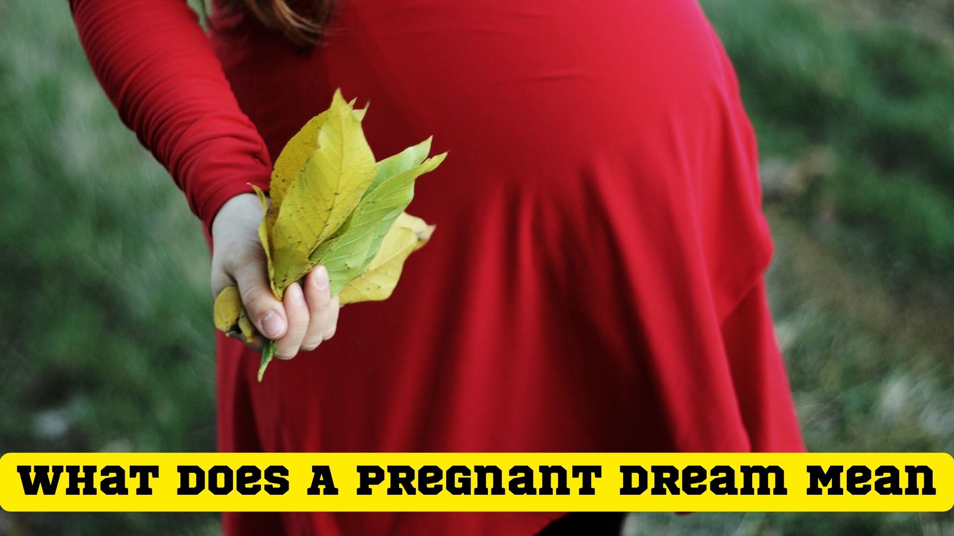 What Does A Pregnant Dream Mean? The Ability To Overcome Challenges