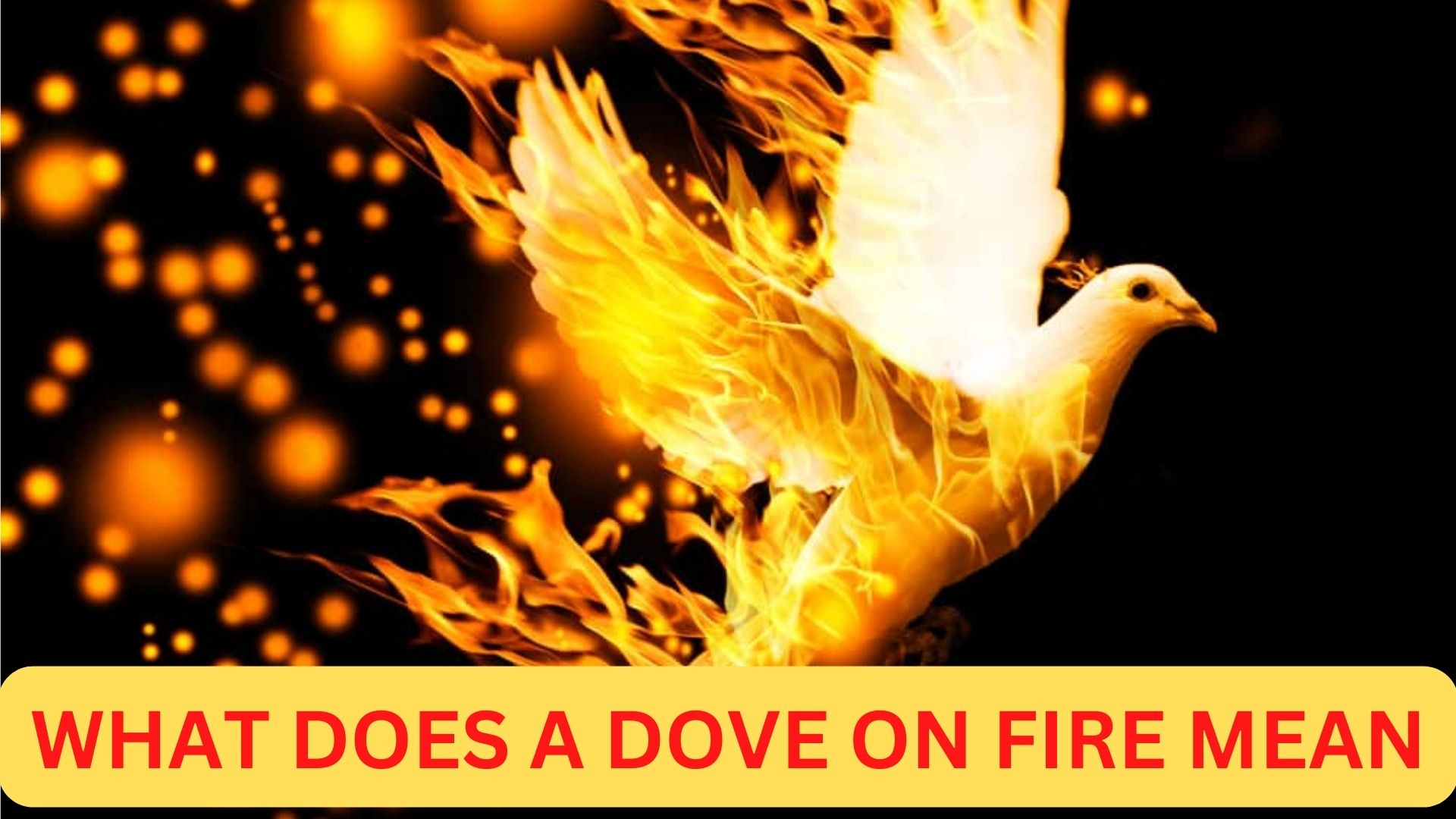 What Does A Dove On Fire Mean? It Represents Enlightenment
