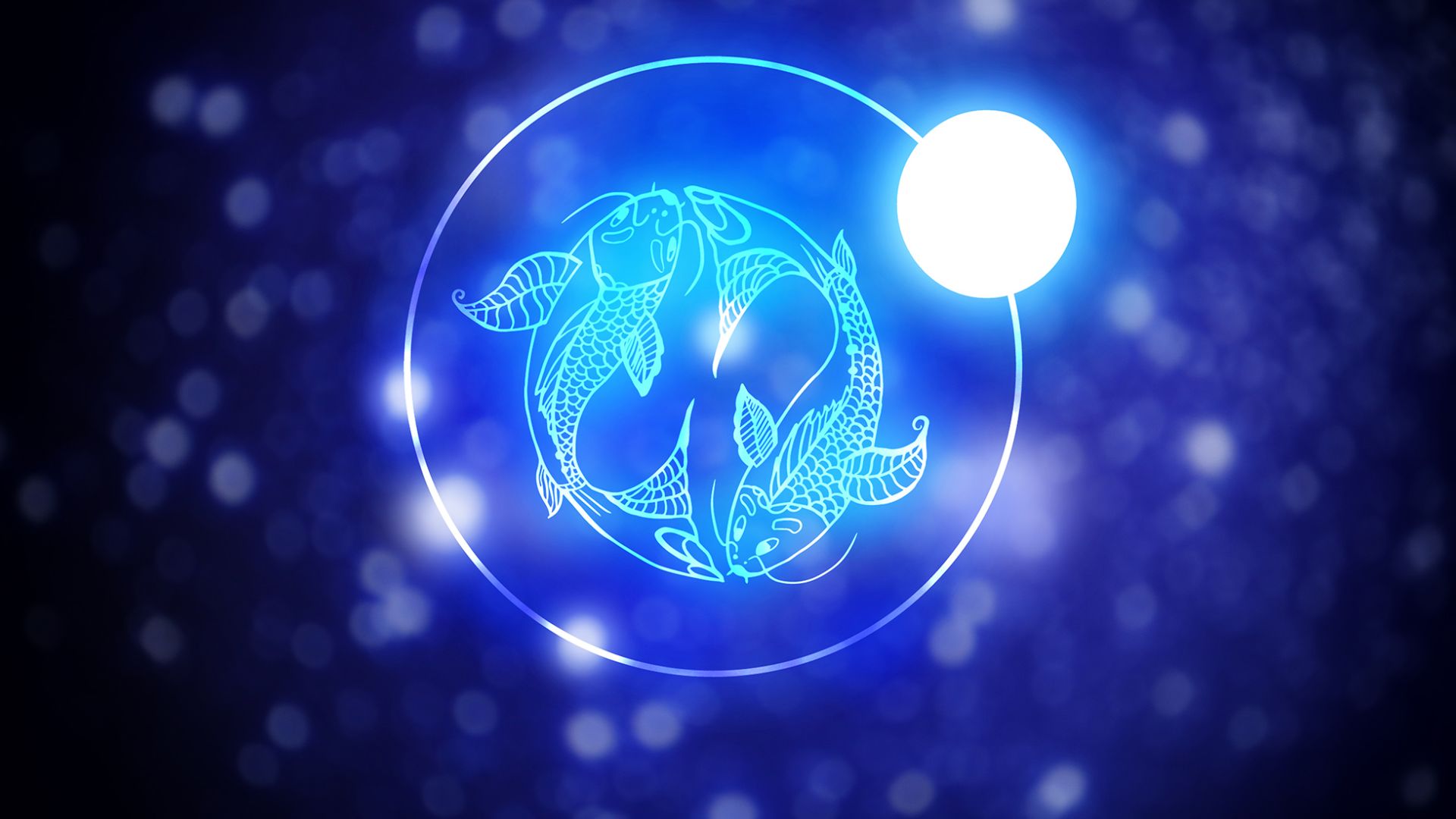 Two Blue Colored Fishes In Circle