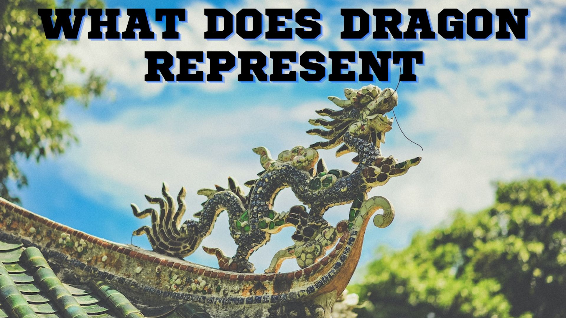 What Does Dragon Represent? Represents Fortune, Authority, Growth, Luck And Development